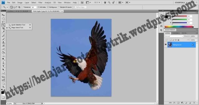 Belajar Photoshop Seleksi Dengan Menggunakan Magic Wand Tool – Belajar ...